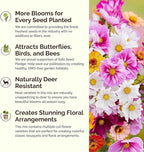 Eden Brothers Cosmic Zen Flower Mixed Seeds for Planting, 1/4 lb, 120,000+ Seeds with Zinnia Dahlia Flowered, Cosmos Sensation | Attracts Pollinators, Plant in Spring, Zones 3, 4, 5, 6, 7, 8, 9, 10