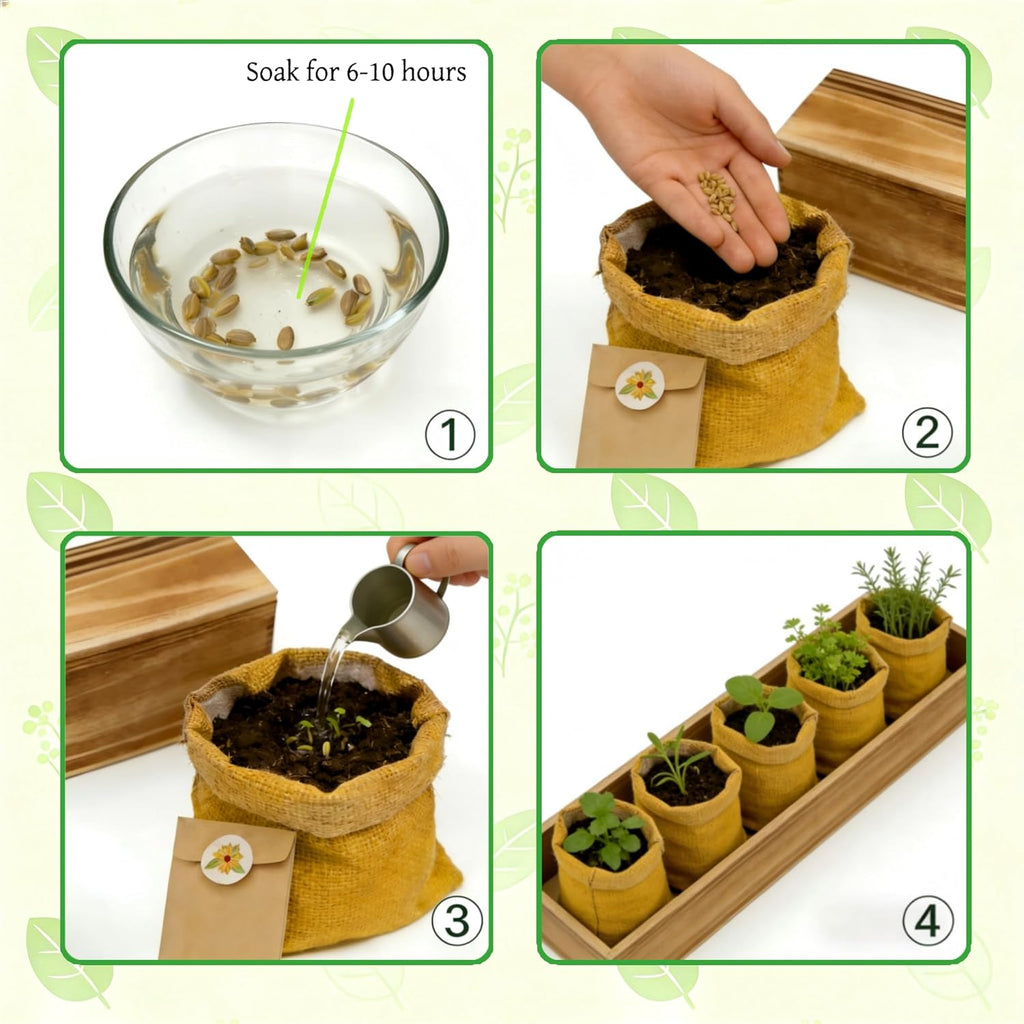 5 Herb Garden Kit with Wooden Box - Including Basil, Thyme, Parsley, Rosemary, Mint - Windowsill Herb Garden for Kitchen, Gardening Gifts for Mom Women, Men, Gift Ideas for Birthday, Housewarming