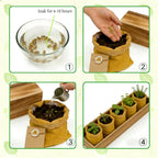 5 Herb Garden Kit with Wooden Box - Including Basil, Thyme, Parsley, Rosemary, Mint - Windowsill Herb Garden for Kitchen, Gardening Gifts for Mom Women, Men, Gift Ideas for Birthday, Housewarming