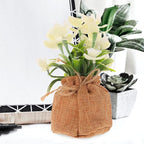 INOOMP Faux Phalaenopsis Orchid Bonsai Potted Artificial Orchid Flowers Realistic Fake Flowers Decor for Indoor Home Office Living Room Table Display