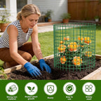 6 Pack Plant Protectors from Animals | 18PCS 13"x13" Metal Wire Mesh Garden Plant Cages for Gardening Supplies | Chicken Wire Cloche Plant Protectors for Rabbits Chickens Ducks