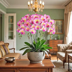 Htmeing 38 Inch Artificial Phalaenopsis Flowers Branches Real Touch (Not Silk) Orchids Flowers for Home Office Wedding Decoration,Pack of 2 (Yellow Purple)