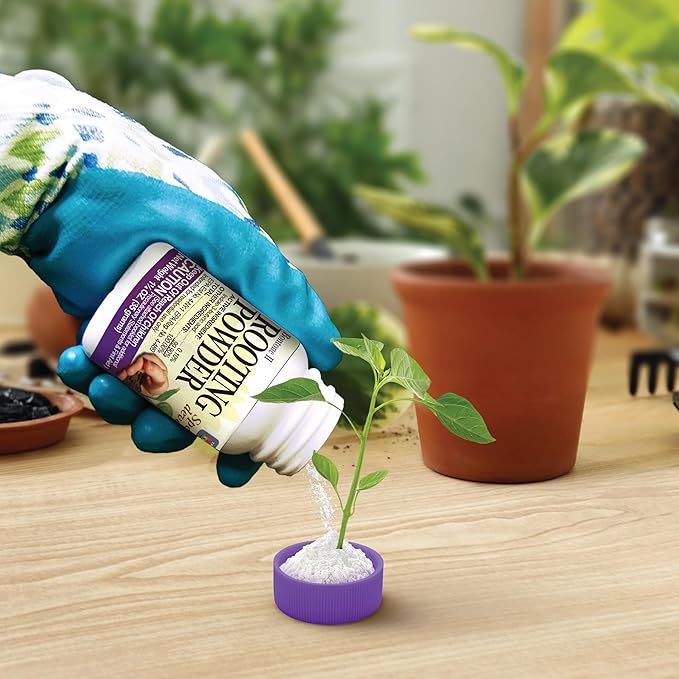 Bonide Bontone II Rooting Powder, 1.25 oz Ready-to-Use Dust for Houseplants and Transplants Speeds Root Development (Pack of 4)