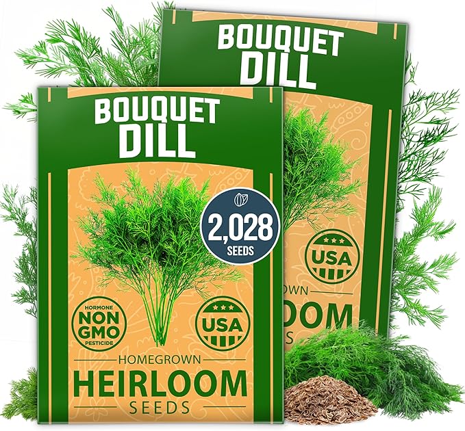 HOME GROWN Dill Seeds 2028 & Tendersweet Carrots 6000 & Detroit Dark Red Beet 500