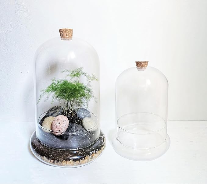 Handblown 7" Glass Terrarium with Opening for Air Flow & Cork Stopper Cloche Style Glass Dome Vivarium Display Case (Small)