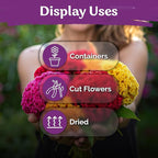 KVITER 500 Dwarf Mix Cockscomb Seeds for Planting (Celosia argentea) – Woolflower Rooster Comb Celosia Seeds for Planting Flowers – Heirloom Flowers Plant Seed Mix Garden Container Flower Beds Outdoor
