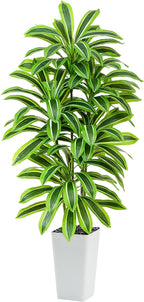 Artificial Dracaena Tree：5FT Faux Silk Tropical Yucca Floor Trees Realistic Fake Green Plant with Natural Wood Trunk & Lifelike Leaves for Home Office Decor Indoor & Outdoor (5FT,1-Pack,White)