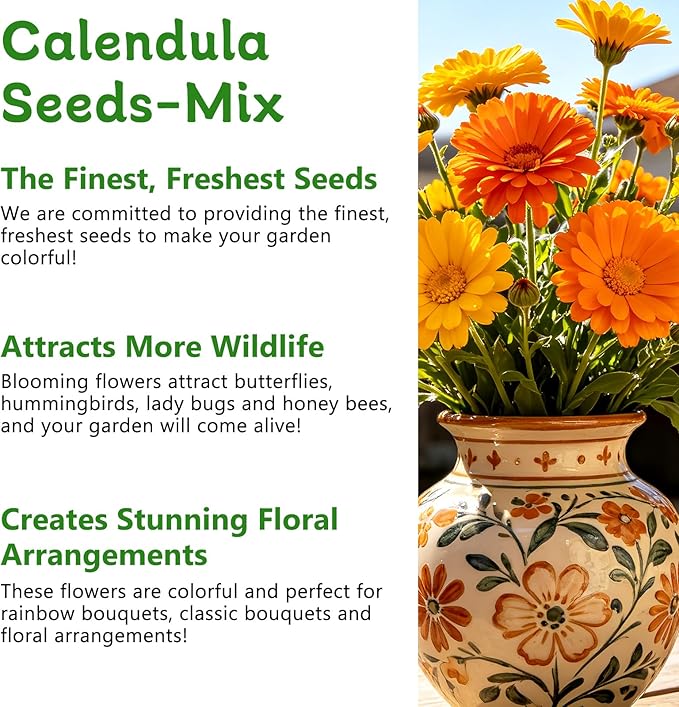 LUOJIBIE Calendula Seeds, Calendula Seeds for Planting Outdoor & Indoor, 4,000+ Pacific Beauty Mix Annual Flower Seeds Bulk, Non-GMO Flower Seeds, Large Blooms, Easy to Grow