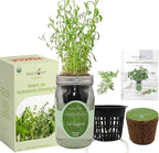 Hydroponic Herb Growing Kit, Self-Watering Mason Jar Herb Garden Starter Kit Indoor, Windowsill Herbs Garden, New Christmas Grden Gift for Mom (Tarragon)