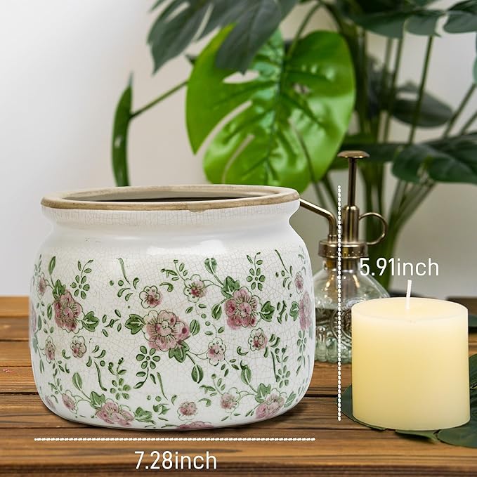 Dosayes Large Ceramic Pot for Planters, Ice Crack Glazed Flower Pot with Drainage Holes,5.91inch Vintage Planters for Indoor and Outdoor (RED)