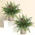 Artificial Boston Fern Potted Plants, 2 Pcs 15'' Fake Greenery Shrubs Plants in Pot for Home Office Living Room Desk Shelf Indoor