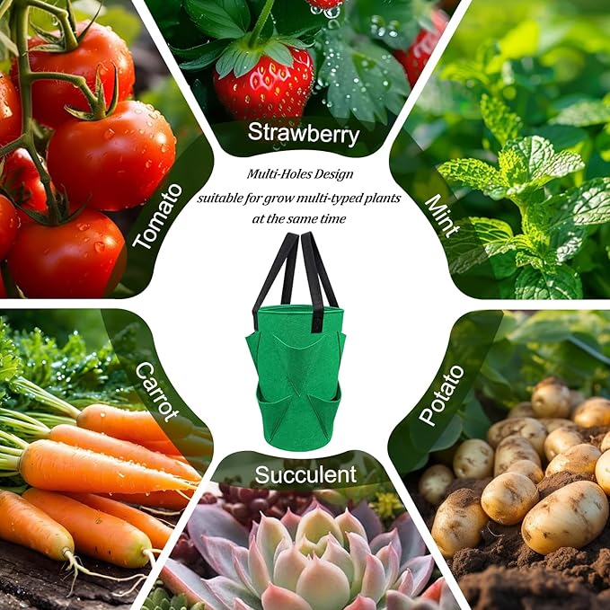 4Pack Upside Down Strawberry Tomato Planter Hanging Growing Kit Outdoor Indoor with 4 Hooks 3 Gallon Cloth Fabric Cherry Tomato Strawberry Vegetable Vertical Hanging Garden Planting Planter Grow Bags
