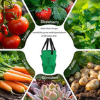 4Pack Upside Down Strawberry Tomato Planter Hanging Growing Kit Outdoor Indoor with 4 Hooks 3 Gallon Cloth Fabric Cherry Tomato Strawberry Vegetable Vertical Hanging Garden Planting Planter Grow Bags