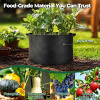 T4U 25 Gallon Grow Bags, Upgrade Grow Bags with Handles, Heavy Duty Thickened Nonwoven Fabric Pots, 25 Gallon Pots for Plants, Pumpkin, Butternut Squash, Grape (5 Pack 25 Gal)