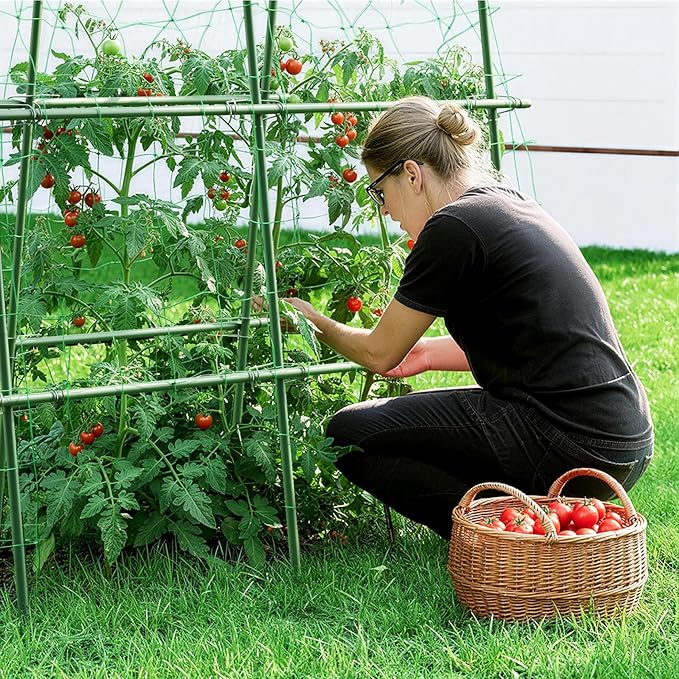 HIRALIY Cucumber Trellis for Climbing Plants Outdoor, 5.6ft Tall Heavy Duty Metal Garden Arch Trellis, Rustproof Plant Support Tunnel for Tomato, Grape, Bean, Raised Bed and Vegetable Gardens, Green