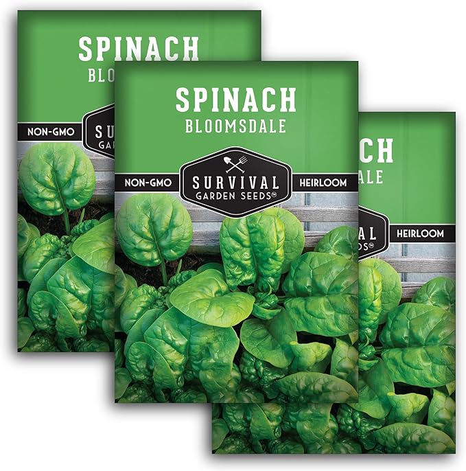Bloomsdale Spinach Seeds for Planting | Heirloom Non-GMO Variety for Home Vegetable Gardens – Cold Hardy, Fast Growing Greens for Fall, Winter, Spring – Survival Garden Seeds (3 Packs)