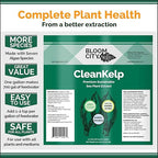 Bloom City Seaweed and Kelp Fertilizer – Liquid Seaweed Supplement for Stronger Roots, Faster Growth & Improved Stress Tolerance, 1 Gallon