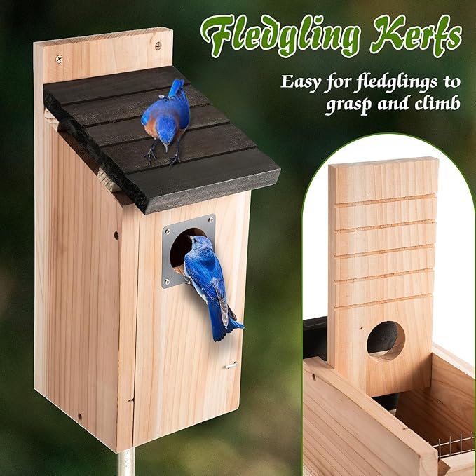 Dreyoo 2 Pack Bluebird Box Houses for Outside,1-1/2'' Entrance Hole Wooden Bird Houses with Metal Guard, Secure Latch,Fledgling Grooves,Air Vents for Bluebird Wren Swallow(Dark Wood)