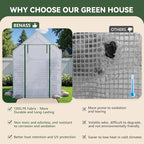 Greenhouse for Outdoors, Small Greenhouse, Walk-in Greenhouses with 3 Tiers 8 Shelves, PE Cover, Heavy Duty Plant Greenhouses for Garden and Backyard
