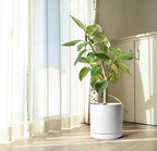 D'vine Dev 12 Inch Ceramic Planter Pot with Drainage Hole and Saucer, Indoor Cylinder Round Planter Pot, White, 94-O-F-1