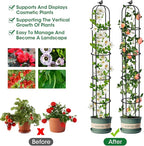 Garden Trellis for Climbing Plants Outdoor, 6.2ft Tall Garden Obelisk Trellis Climbing Plant Support Potted Vine Flower Rose Clematis Vegetable Pea Bean Cucumber Trellis Raised Bed, 2 Pack