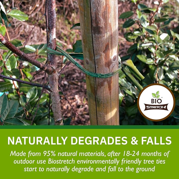 Bio-Stretch Extra Wide Soft Tree Ties - Strong & Stretchy Support for Large Plants & Young Trees - Cut-to-Length Green Garden Tape for Home & Professional Gardening (26 ft / 8M)