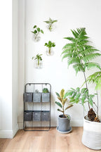Mkono Propagation Wall Hanging Planter Glass Terrarium Flower Vases Holder for Indoor Plants, Home Living Room Office Decor Plant Lover Gifts, Set of 4(Plants not Included)