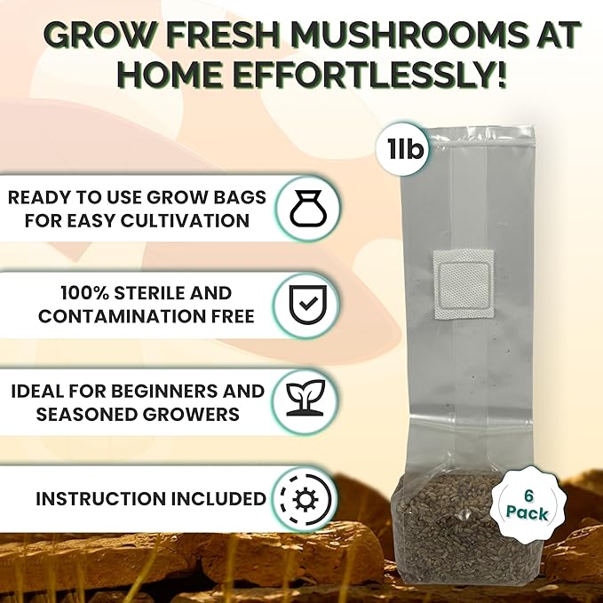 MycoHaus Mushroom Growing Kit | Sterilized Rye Grain | Magic Indoor Grow Bags for Mushrooms | Shroom Home Cultivation Magic Supplies | Without Spores | Without Injection Ports | 1 Pound (6 Pack)