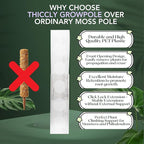 THICCLY Medium GrowLid 5 Pcs (Clear) - Self Watering Clear D-Shaped Plastic Moss Pole Hydroponics Growing System Kratky Hydroponic Kit Moss Pole Monstera Plant Support Philodendron and Anthuriums