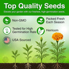 1450+ French Petite Marigold Seeds, Pack for 2026 USA Premium Non-GMO Flower Seeds for Planting Outdoors AKA. Tagetes patula Easy to Grow Heirloom Seeds