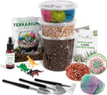 Creations by Nathalie DIY Terrarium Starter Kit - Small Terrarium Kit with Moss, Soil, Pebbles, Tools, Crystals & Figurines - Fun Gardening Craft Supplies for Adults & Teens - Handcrafted in USA