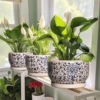 SQOWL 10 Inch Plant Pot Indoor - Ceramic Planter with Drainage Hole and Tray, Large Ceramic Flower Pots Outdoor, Porcelain Decorative Round Planter, Room Decor, Gifts for Plant Lovers, Blue and Beige