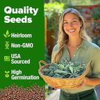 HOME GROWN White Sage Seeds 646 Pack Heirloom Seeds - Grow Aromatic Sage Plants for Your Herb Seeds Garden with Sage for Planting Outdoor or Indoor (Salvia apiana)