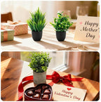 Artificial Potted Plants Faux Greenery in Cement Pots for Shelf, Bookshelf, Office or Home Decor, Small Decorative Fake Plants for Modern Indoor Display (7, XXL)