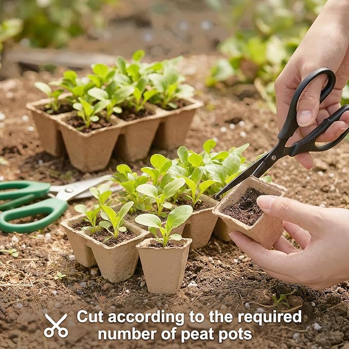 Prudiut 144 Cells Seed Starter Tray, 12 Pack Biodegradable Peat Pots, Plant Starter Kit for Seedlings with 50 Labels & Transplanting Tools, Germination Cups for Vegetables, Flowers, Herbs