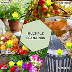 Qualirey 100 Pcs Fungus Gnat Traps Yellow Flower Shaped Plant Sticky Insect Traps Double Sided Bug Killer Fruit Fly Fungus Gnat Catcher with Green Stakes for Summer Indoor Outdoor Plants Kid Pet Safe