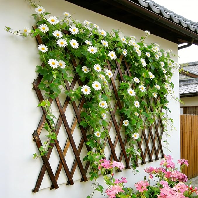 4 Pcs Expandable Garden Trellis, 38" x 89" Thickened Large Wooden Lattice Panel Lattice Trellis for Climbing Plants Outdoor Ivy Vine Rose Clematis for Garden Fence Wall Patio Room Decor (4)