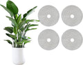 TINSKY 4 Pcs 15.7 Inch Plant Pot Grids-Cuttable Plant Pot Soil Covers Protectors from Animals-Indoor Plant Pot Soil Guard for Outdoor Garden Plant Protection