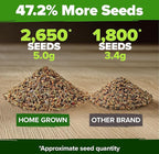 HOME GROWN 6 Herb Seeds for Planting 2,650+ Non-GMO Heirloom Seeds | Extra Large Variety Pack Herb Kit – Indoor Outdoor & Hydroponic | Culinary Seed Set | Grow Your Own Herbs | Gift for Beginners