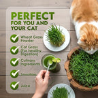 Nature Jims Sprouts Wheat Grass Seeds – Non-GMO Organic Seeds for Planting, Cat Grass for Growing & Sprouting – Resealable Bag for Fresh Wheatgrass Sprouts – Vitamins, Minerals, & Fiber-Rich –16oz