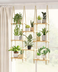 Bamworld Hanging Shelves 8Tiers Plant Hanger Indoor Window Plant Shelves Wood Plant Wall Shelf Window Sill Plant Shelf Indoor Hanging Plant Stand Living Room Decor Garden Boho Decor