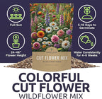 Cut Flower Garden Seeds - Bulk 1/4 Pound Bag - Over 30,000 Fresh Open Pollinated Non-GMO Wildflower Seeds - Long Lasting Annuals and Perennials with Bright Colors
