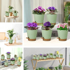 5 Pack 5 inch Self-Watering Pots, African Violets Planter with Drainage Holes and Reservoir, Green Brown Plastic Planter for Indoor Outdoor Plants Flowers and Houseplants Green Brown, 5 inch 5 pcs