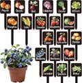 Whaline 20Pcs Watercolor Vegetable Fruit Plant Label Signs 20 Styles Garden Markers Waterproof Black Acrylic Plant Stake Tags with Names for Nursery Indoor Outdoor Garden Decor