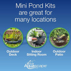 Aquascape AquaGarden Pond Kit, Container Water Garden | 78325
