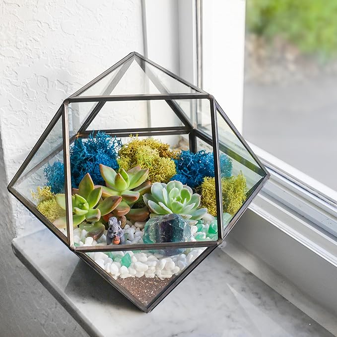 Creations by Nathalie DIY 7" Geometric Terrarium Kit - Build Your Own Glass Terrarium for Adults & Teens with Moss, Crystals, Tools & Decorative Figurine - Mini Ecosystem (Plant Not Included)