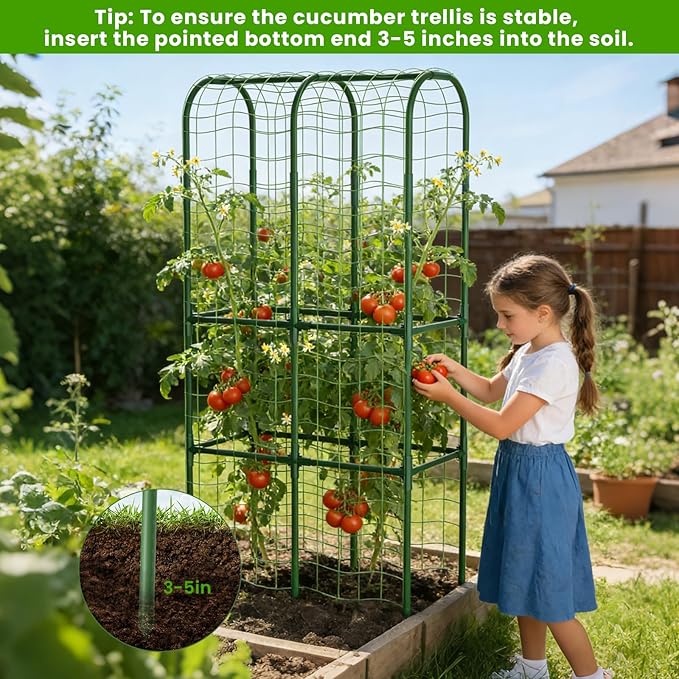 62in Tall Cucumber Trellis for Raised Bed, 34" L x 62" H Metal Garden Trellis for Climbing Plants Outdoor, U-Shape Vegetables Trellis Support for Squash Zucchini Peas Grape