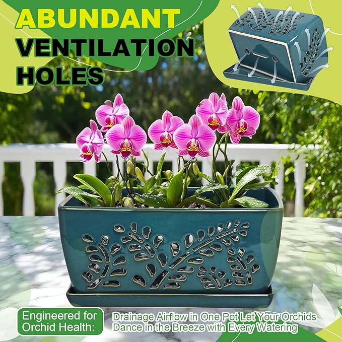 Ceramic Orchid Pot, 10 Inch Orchid Pots with Holes, Premium Thickened Handmade Glazed Pot for Orchidaceae Plants, Indoor Outdoor Decorative Flower Pots for Easy Repotting