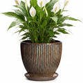 Ceramic Planter, 8 Inch Plant Pots for Indoor Plants, Round Planter with Drainage Hole and Saucer, Modern Decorative Flower Pots, House Office Decor, Gifts for Plant Lovers, Retro Brown