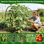 Cucumber Trellis for Raised Bed, Garden Arch Trellis for Climbing Plants Outdoor, Metal Garden Trellis for Spring Vegetables, Cucumber Trellis for Tomato, Bean, Pea, Grape, Plant
